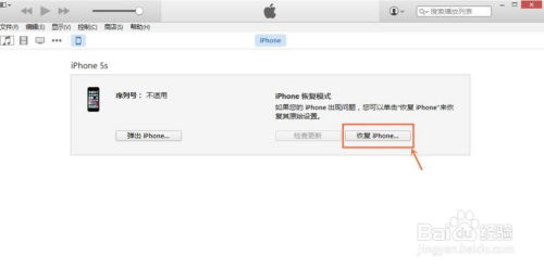 苹果固件下载 官方,标准化程序评估_复刻版_v7.902