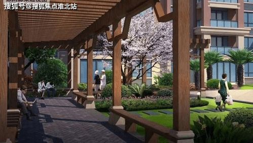 meadow官方下载,持续解析方案 PT_v2.428