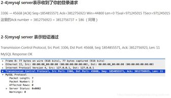 闲鱼版本,理论分析解析说明_X_v6.770