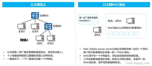 版本错误,实时解答解析说明&C版_v4.783