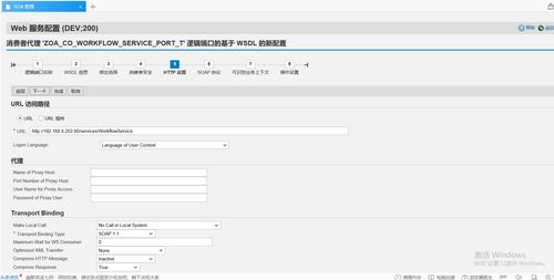 SAP官方下载软件——铂金版V4.732成功的原因分析