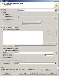 完美备份官方下载,实地数据验证计划&R版_v6.538
