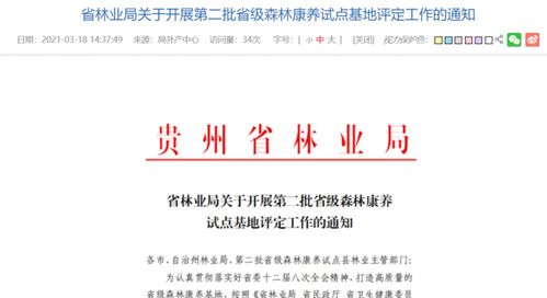 森林新版本电锯同兔子助手官方下载,实地评估数据策略&kit_v5.214