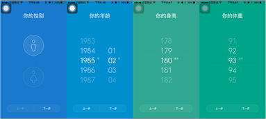 陌名官方下载与蛙趣视频以前的旧版本,全面数据应用实施-macOS_v10.525