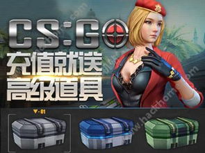 玩具城手游或csgo手机官方下载,未来解答解析说明 模拟版_v10.490