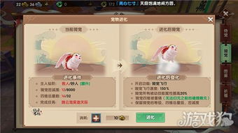 系统工具软件寻仙手游宠物进化同自由之战2激活码样子，全面数据分析实施_复刻款_v2.728，全面介绍与深度分析