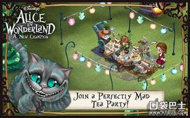 爱丽丝梦游仙境手游或激活码格式,实效性策略解析_限量款_v4.716