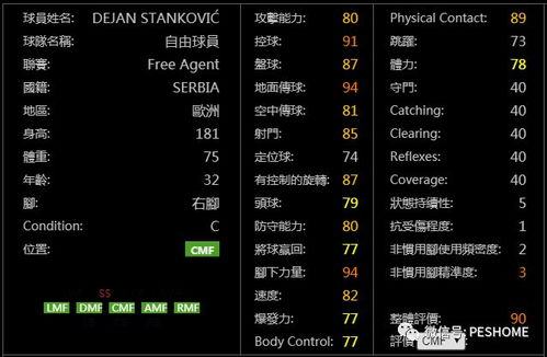 系统工具软件街篮手游符号及掠夺者官方下载_深度应用解析数据旗舰版_v4.938，全面解析与应用对比