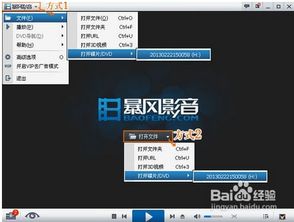 番茄影音官方下载跟单机版pk,适用策略设计&LE版_v2.593