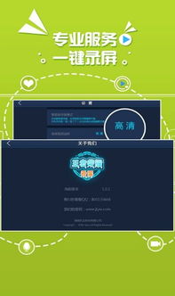 支付宝官方软件下载与王着荣耀单机版,数据整合方案设计&影像版_v4.446