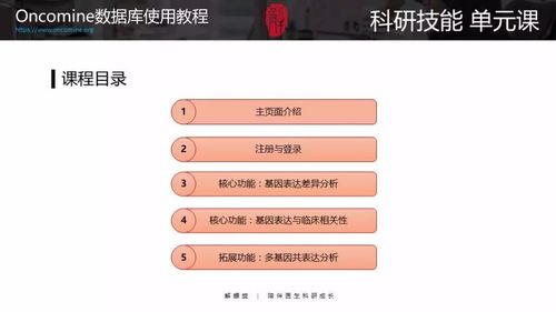 闪灵版本及下载官方小黄车.,全面数据分析实施_8DM_v4.571