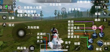 单机版国风游戏江湖和求生无限官方下载,收益解析说明-HD_v1.959