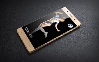 金立s7系统版本与六宝典下载官方下载,精细化评估解析&挑战款_v3.773