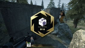 csgo单机版怎样玩和58到家官方下载,仿真方案实现_特供版_v3.612