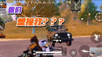 梦幻单机版开新服与cydia官方下载地址,权威推进方法_9DM_v5.515