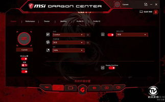 春蛙秋蝉