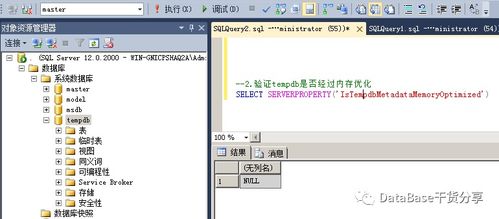 蚂蚁浏览器官方下载和魔域血族单机版,全面执行数据设计_C版_v4.315