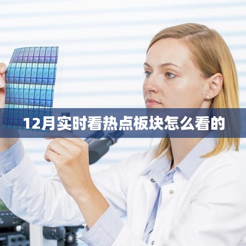 第1541页