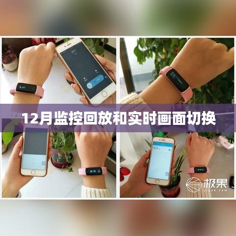 监控回放与实时画面切换功能介绍