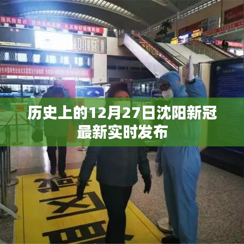 沈阳新冠实时发布，历史背景下的最新动态