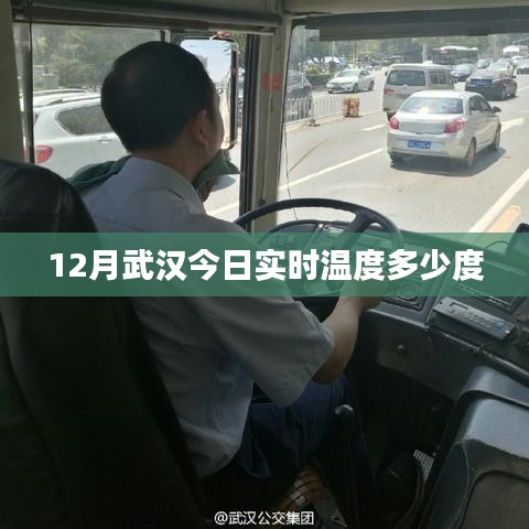 武汉今日实时温度查询