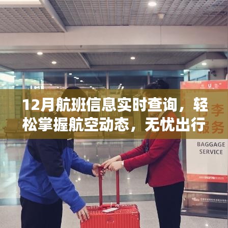 实时查询航班信息，无忧出行轻松掌握航空动态