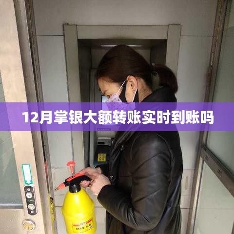 掌银大额转账十二月实时到账情况解析