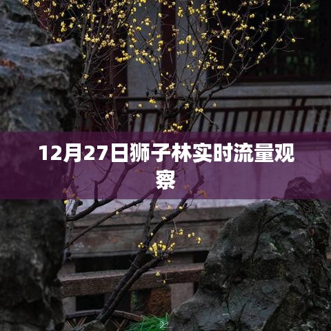 新闻动态 第162页