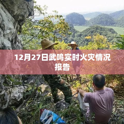 武鸣区火灾实时情况报告，最新更新，关注火势进展