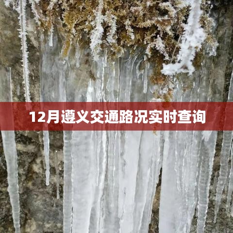 成功案例 第166页