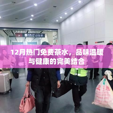冬季暖心茶水，免费品尝，温暖与健康双享
