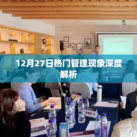 12月27日管理现象深度解读，热门管理趋势洞察