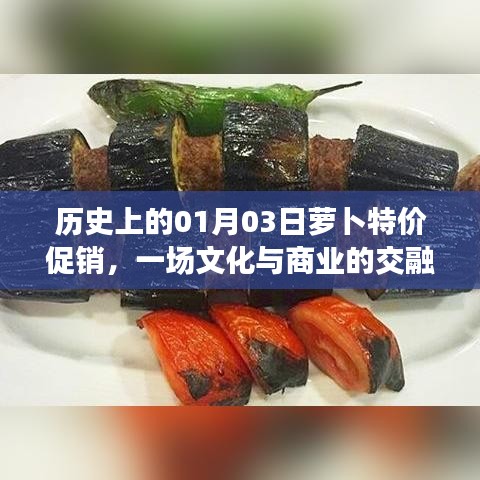 淡泊以明志，宁静以致远 第3页