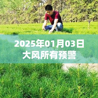 大风预警发布，2025年1月3日需警惕，简洁明了，能够清晰地传达文章的主题。希望符合您的要求！