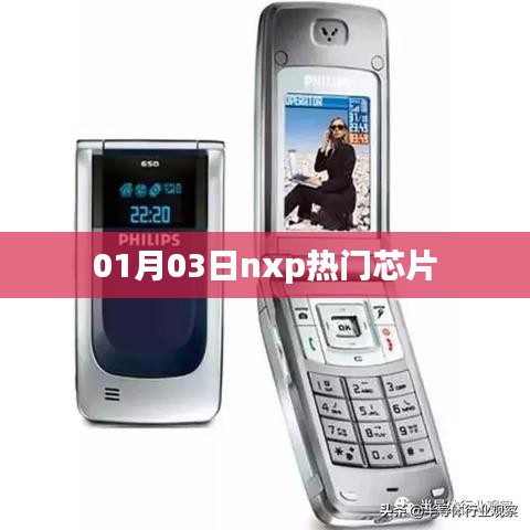 nxp热门芯片最新动态，01月03日关注焦点