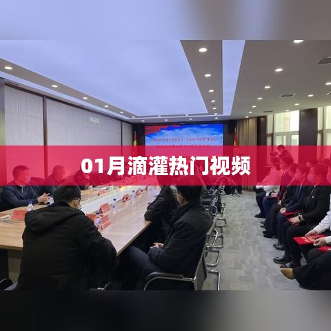 热门视频滴灌攻略，一月精选全收录！