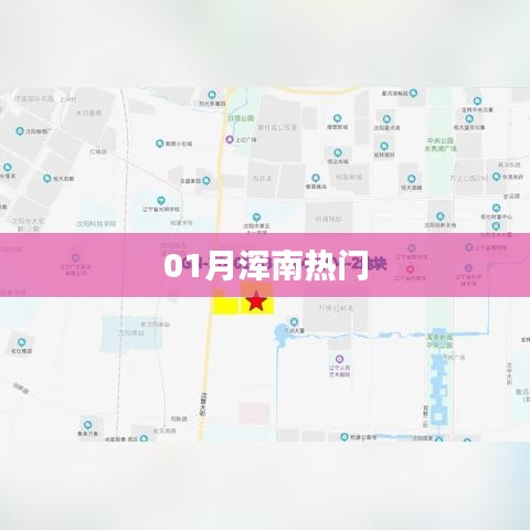 浑南地区一月份热门资讯概览