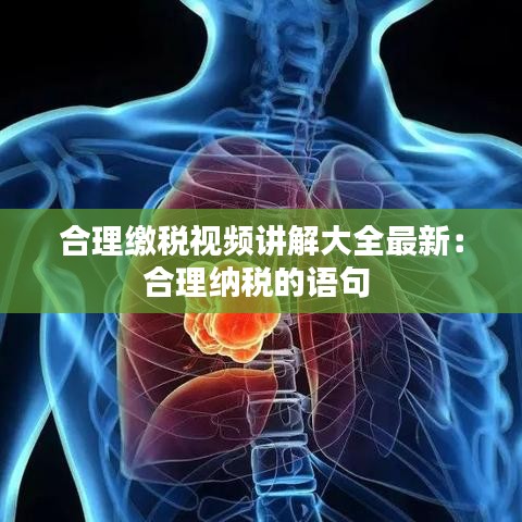 合理缴税视频讲解大全最新：合理纳税的语句 