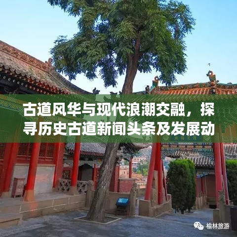 古道风华与现代浪潮交融，探寻历史古道新闻头条及发展动态