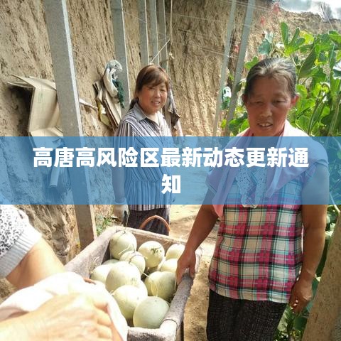 高唐高风险区最新动态更新通知