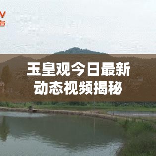 玉皇观今日最新动态视频揭秘