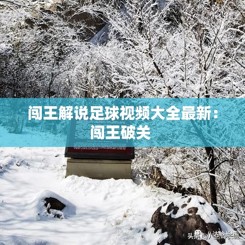 闯王解说足球视频大全最新：闯王破关 