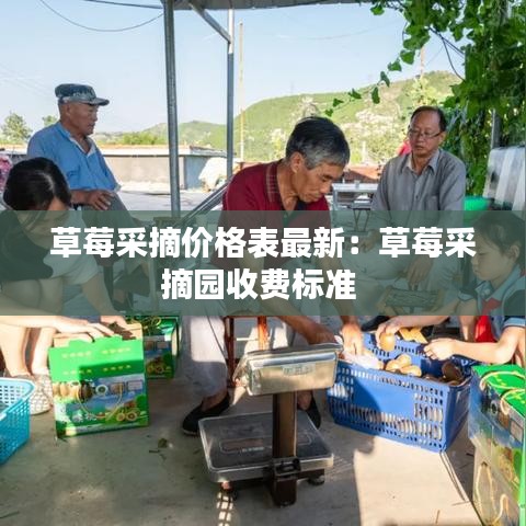 草莓采摘价格表最新：草莓采摘园收费标准 