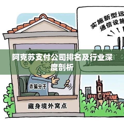 阿克苏支付公司排名及行业深度剖析