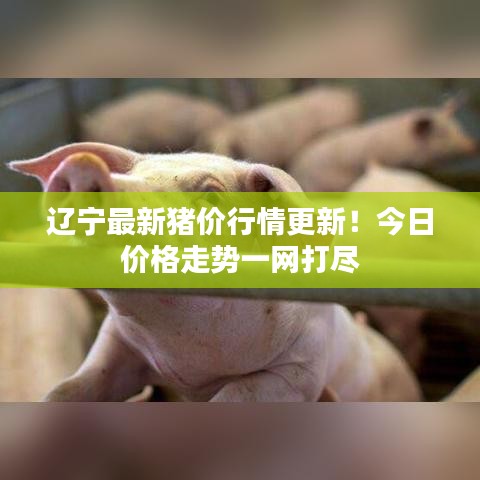 辽宁最新猪价行情更新！今日价格走势一网打尽