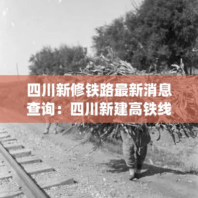 乌鸟私情 第3页