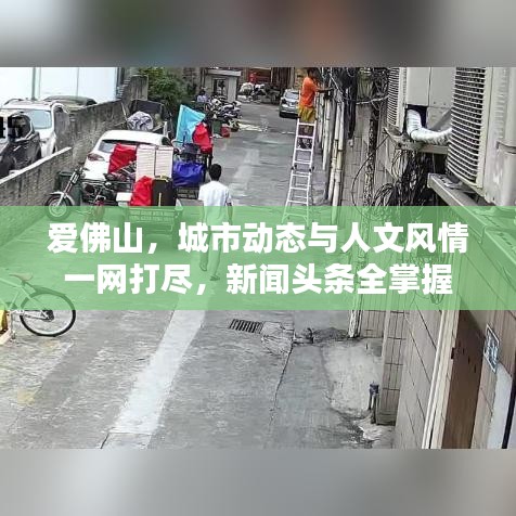 爱佛山，城市动态与人文风情一网打尽，新闻头条全掌握