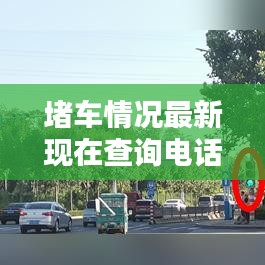 花容月貌 第2页