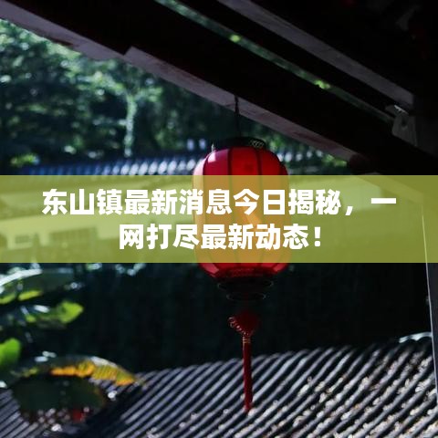 东山镇最新消息今日揭秘，一网打尽最新动态！