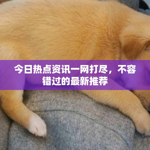 今日热点资讯一网打尽，不容错过的最新推荐